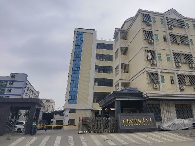 Company Overview